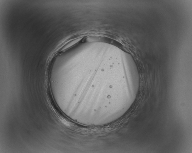 X0000075330005200610061640