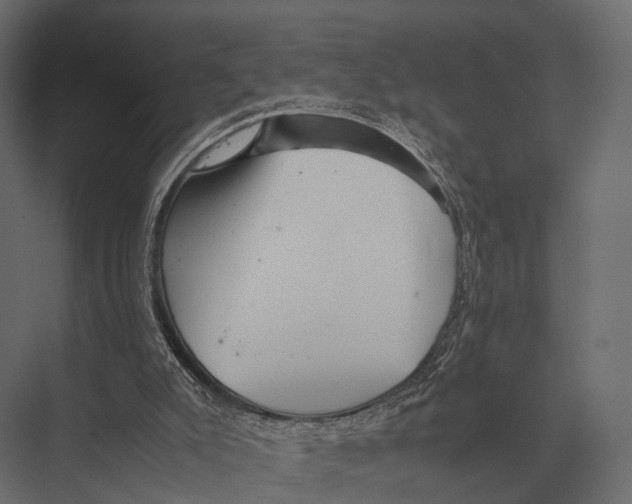 X0000075330007200610061640