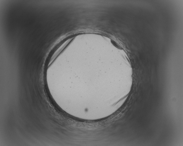 X0000075330008200610061640