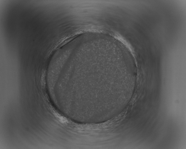 X0000075330009200610061640