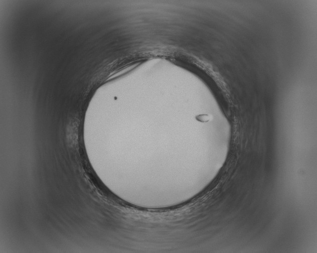 X0000075330010200610061640