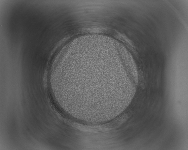 X0000075330012200610061640