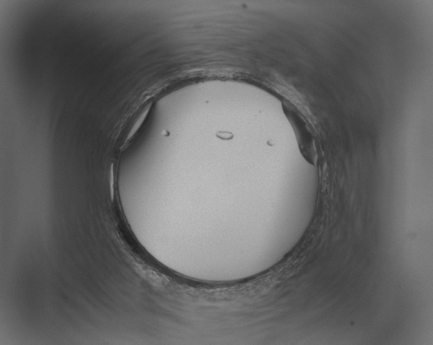 X0000075330013200610061640