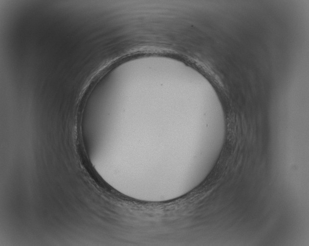 X0000075330015200610061640