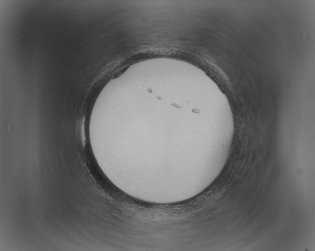 X0000075330020200610061640