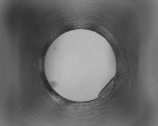 X0000075330025200610061640