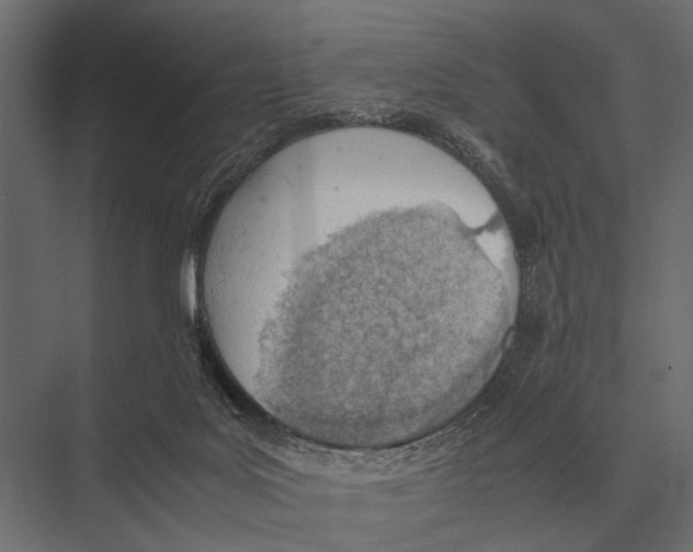 X0000075330027200610061640