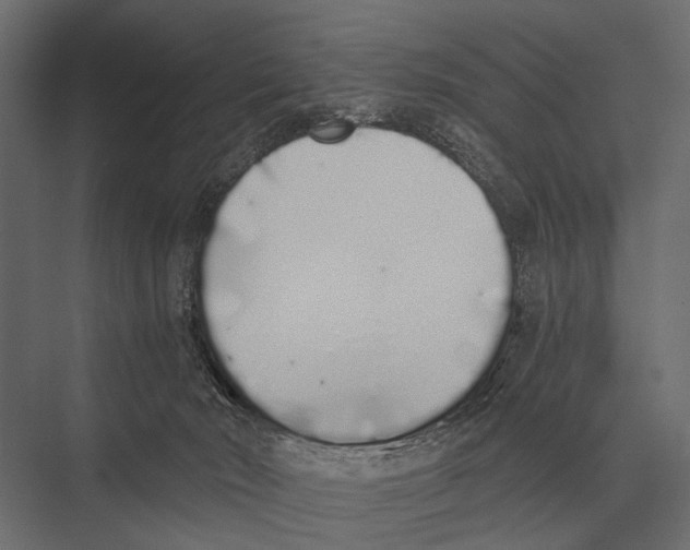 X0000075330030200610061640