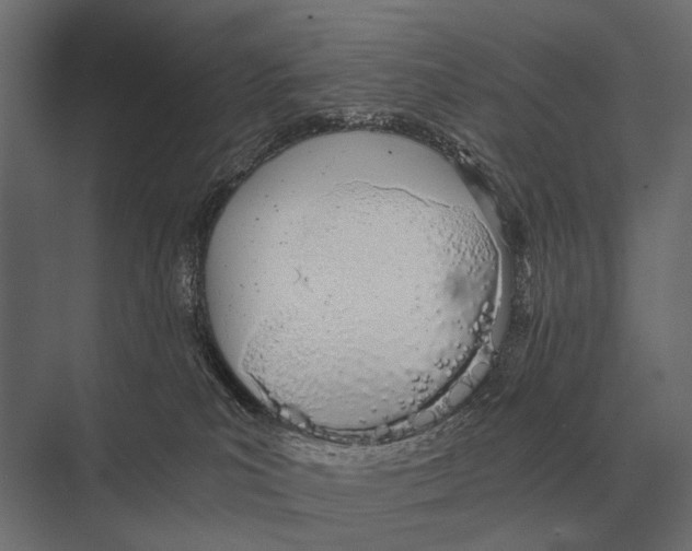 X0000075330039200610061639