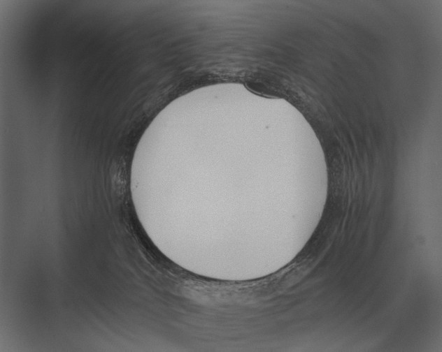 X0000075330040200610061639