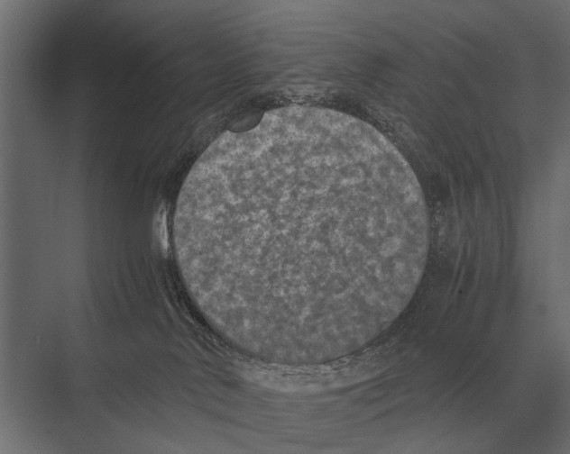 X0000075330042200610061639