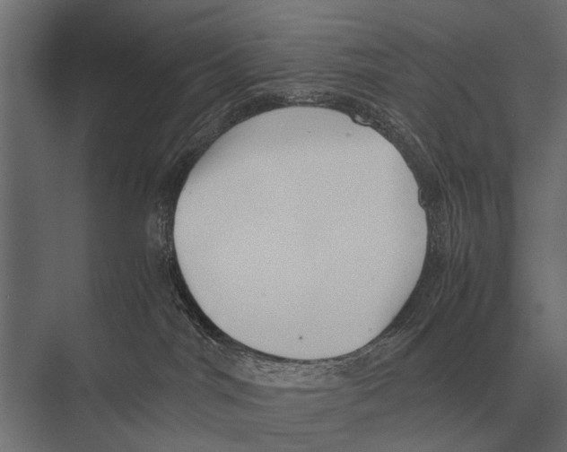 X0000075330044200610061639