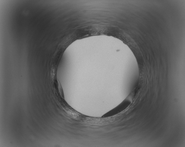 X0000075330045200610061639