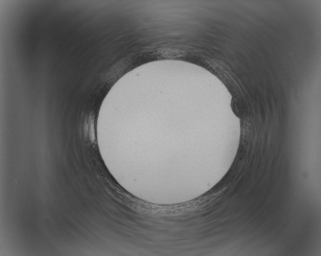 X0000075330046200610061639