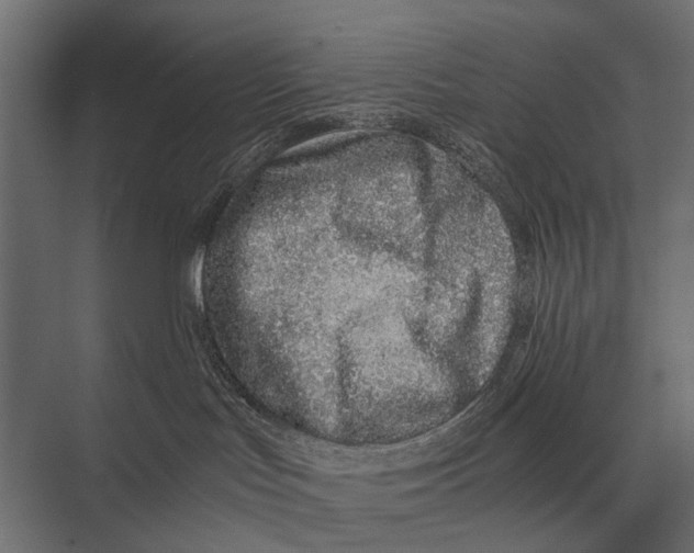 X0000075330047200610061639