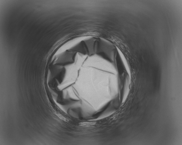 X0000075330051200610061639