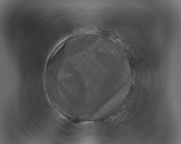 X0000075330052200610061639