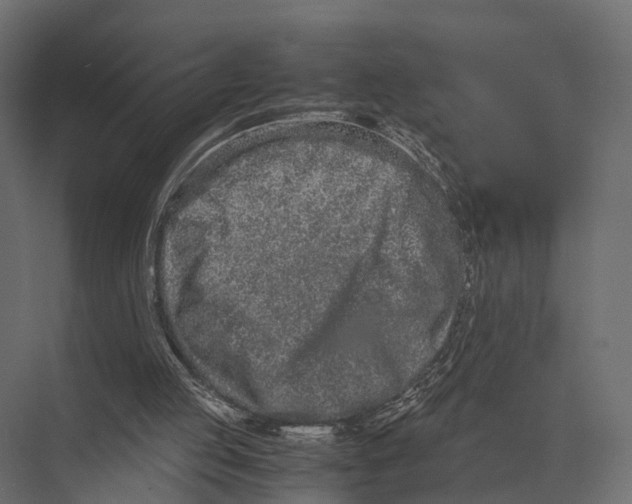 X0000075330053200610061639