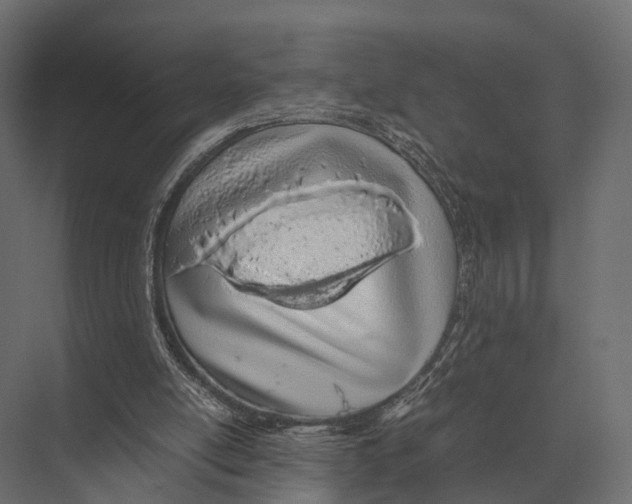 X0000075330054200610061639