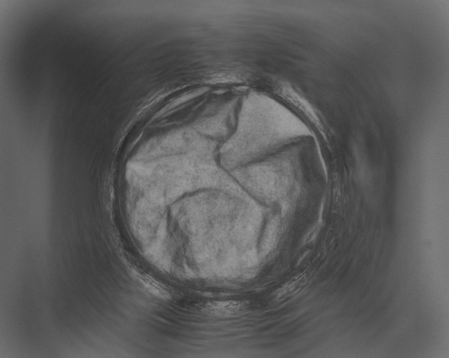 X0000075330059200610061639