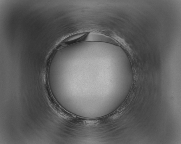 X0000075330060200610061639