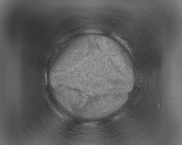 X0000075330061200610061639