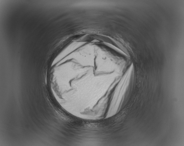 X0000075330062200610061639