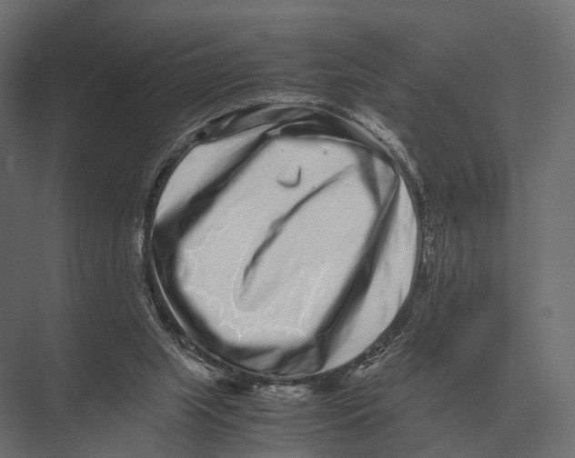 X0000075330063200610061639