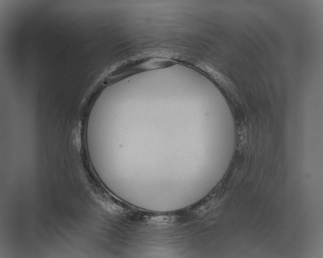 X0000075330064200610061639