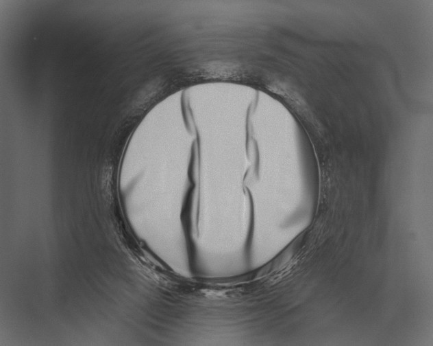 X0000075330066200610061639