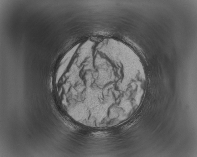 X0000075330067200610061639