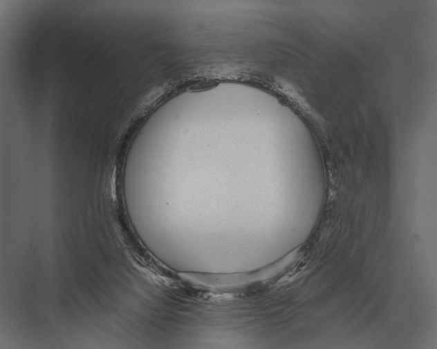 X0000075330068200610061639