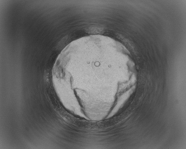 X0000075330069200610061639