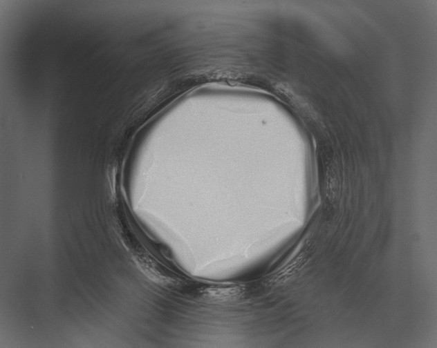 X0000075330070200610061639