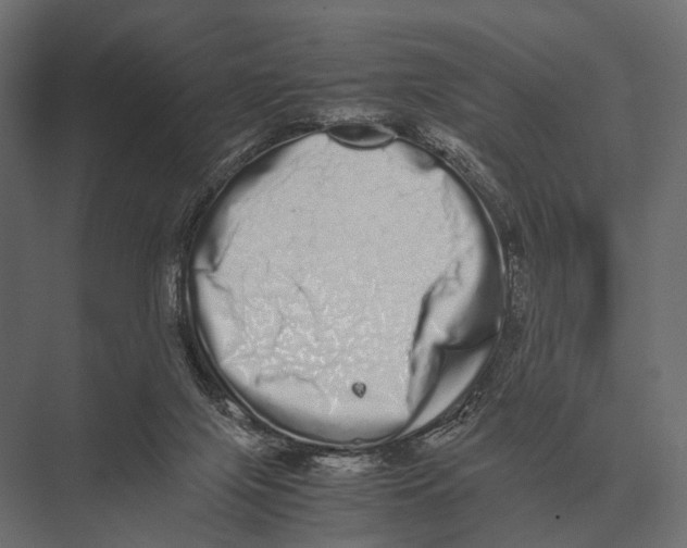 X0000075330071200610061639