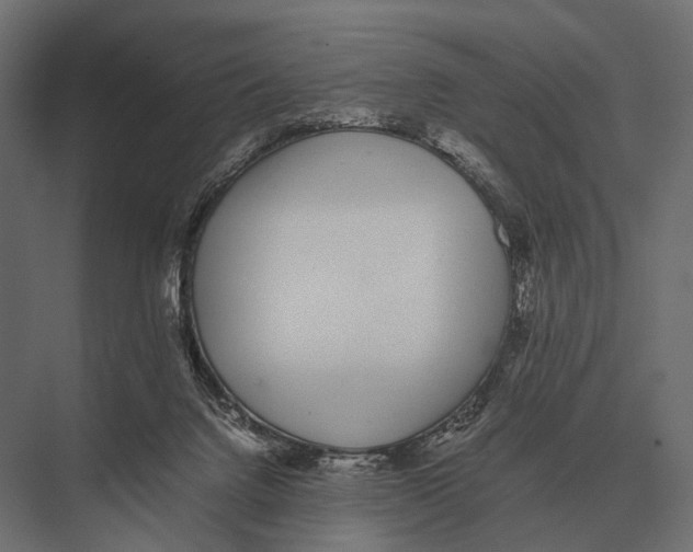 X0000075330072200610061639