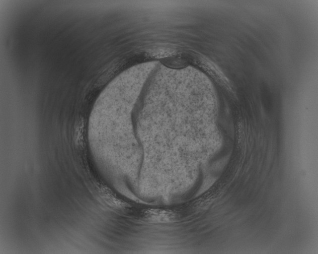 X0000075330073200610061639