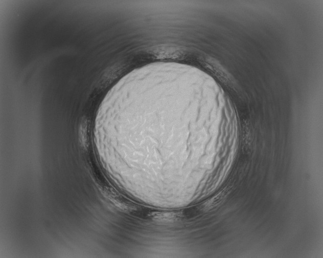 X0000075330074200610061639