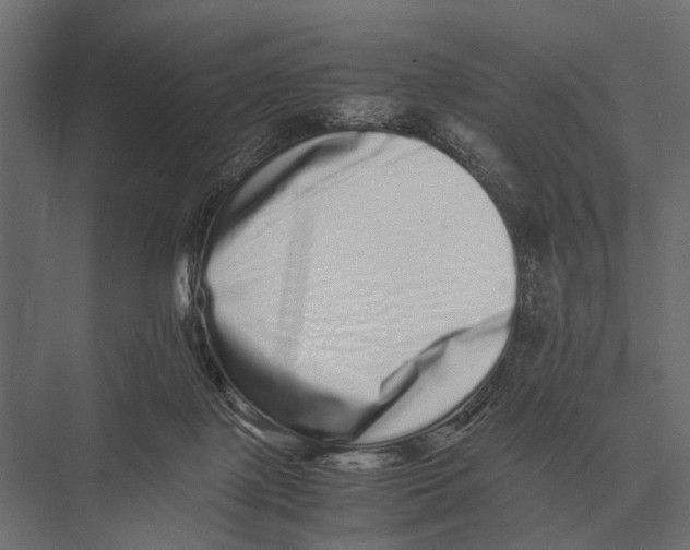 X0000075330075200610061639