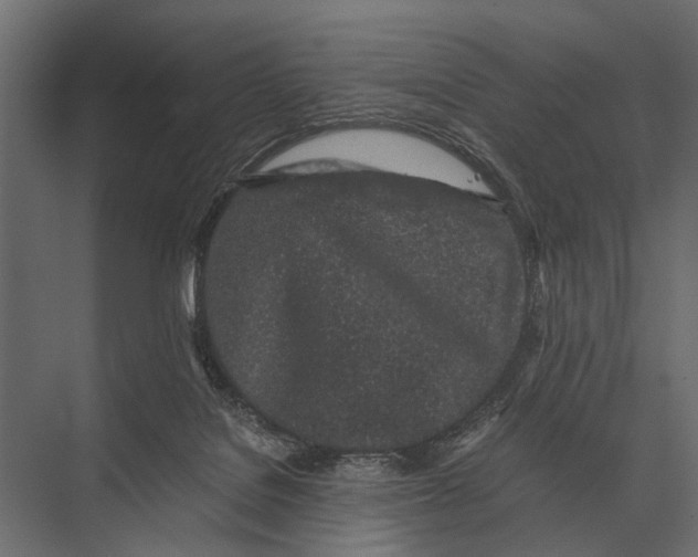 X0000075330076200610061639