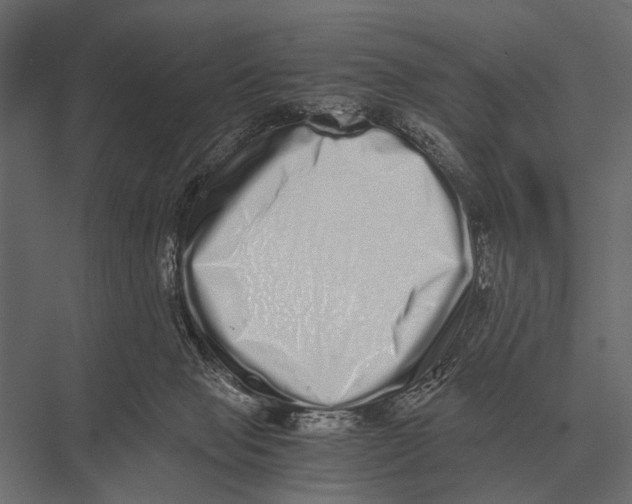 X0000075330077200610061639