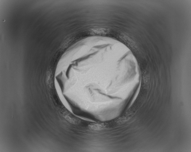 X0000075330079200610061639