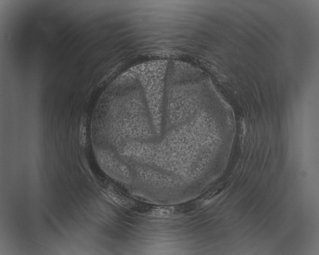 X0000075330080200610061639