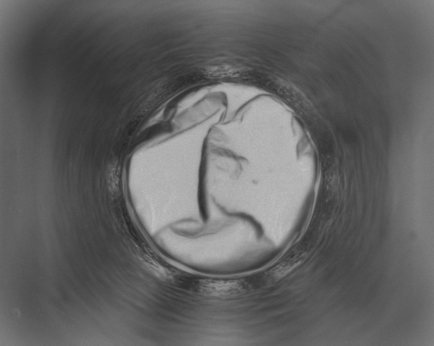 X0000075330081200610061639