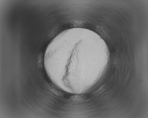 X0000075330082200610061639