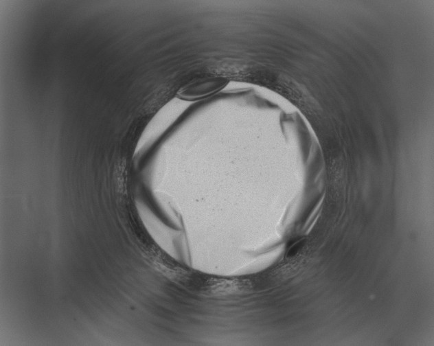 X0000075330083200610061639