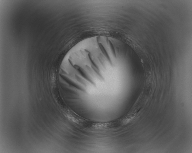 X0000075330084200610061639