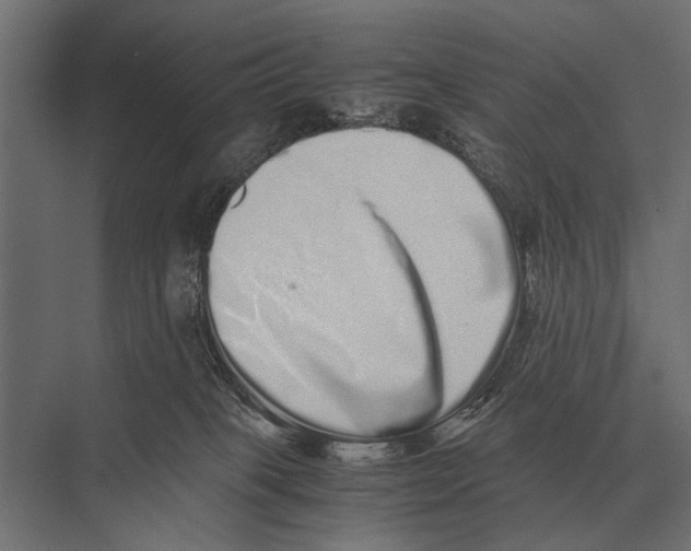 X0000075330085200610061639