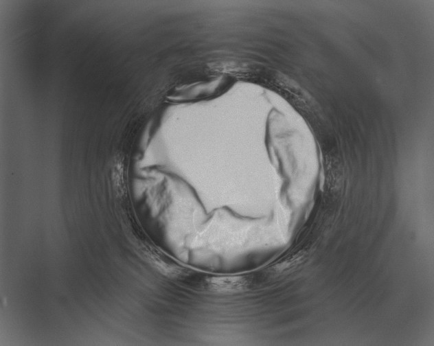 X0000075330087200610061639