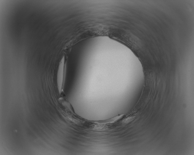 X0000075330088200610061639